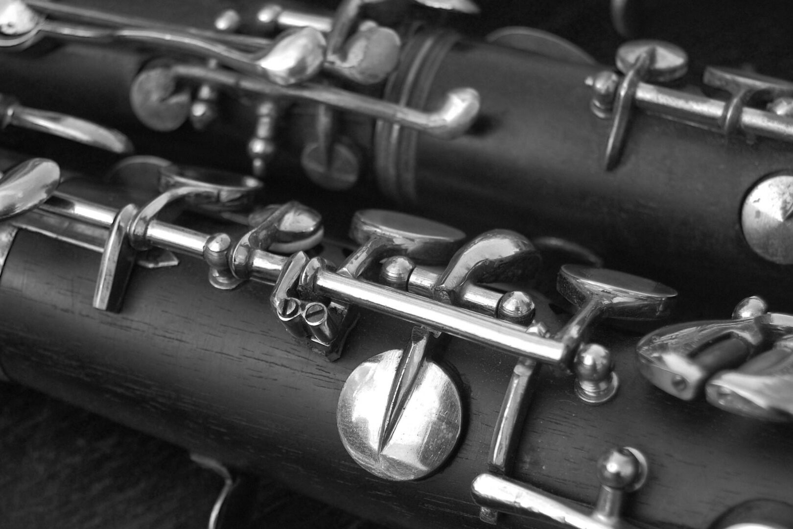 Muziekprogramma 2025 - 2026